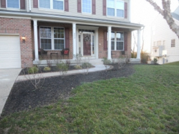 gallery/beforeafter1