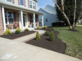 gallery/landscape services