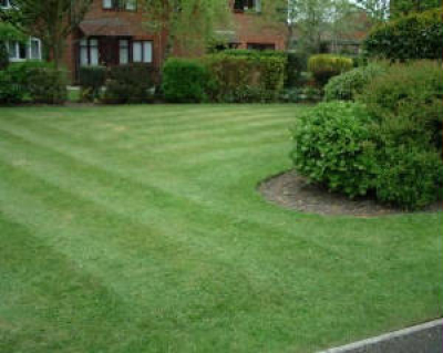 gallery/lawn2