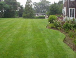 gallery/lawn.jpg.w300h229
