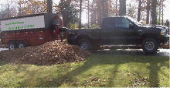 gallery/leafremoval